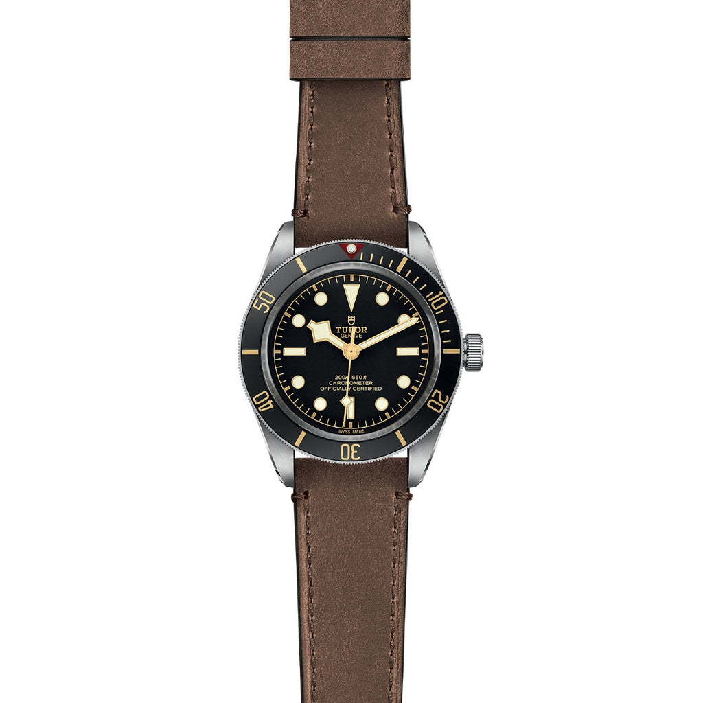 Tudor BLACK BAY 58 GMT
