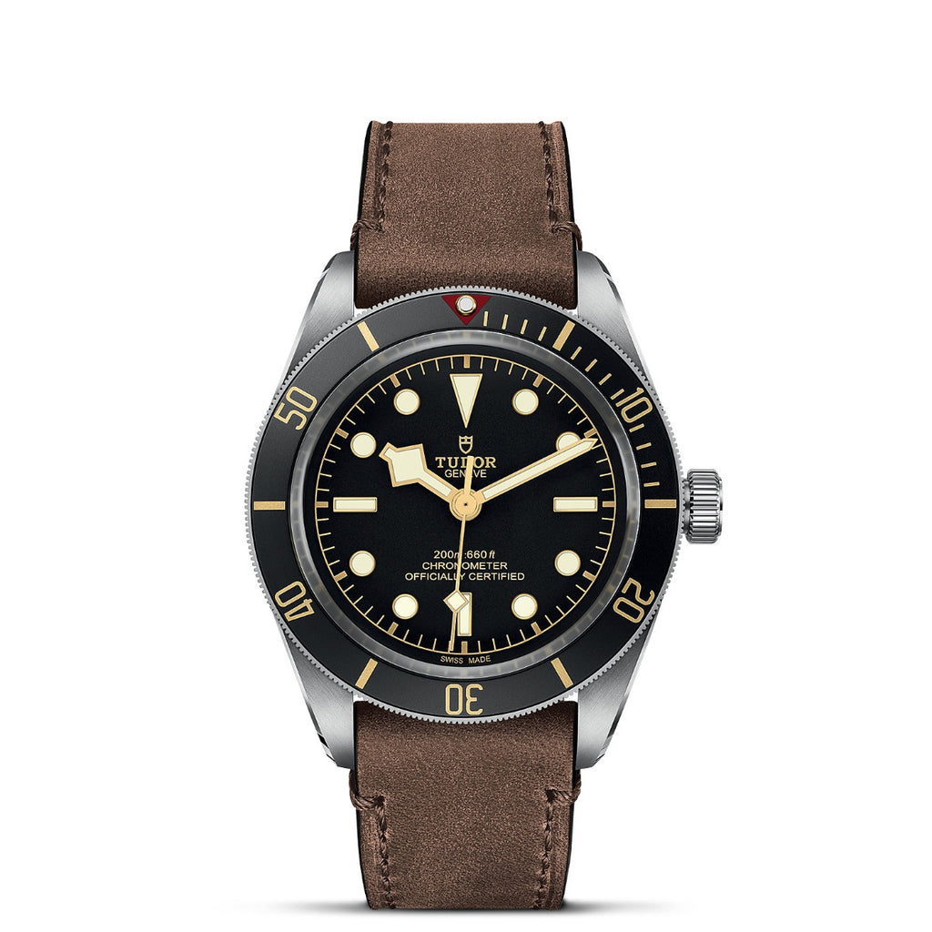 Tudor BLACK BAY 58 GMT